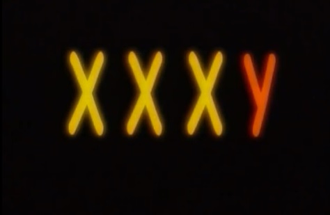 xxxy